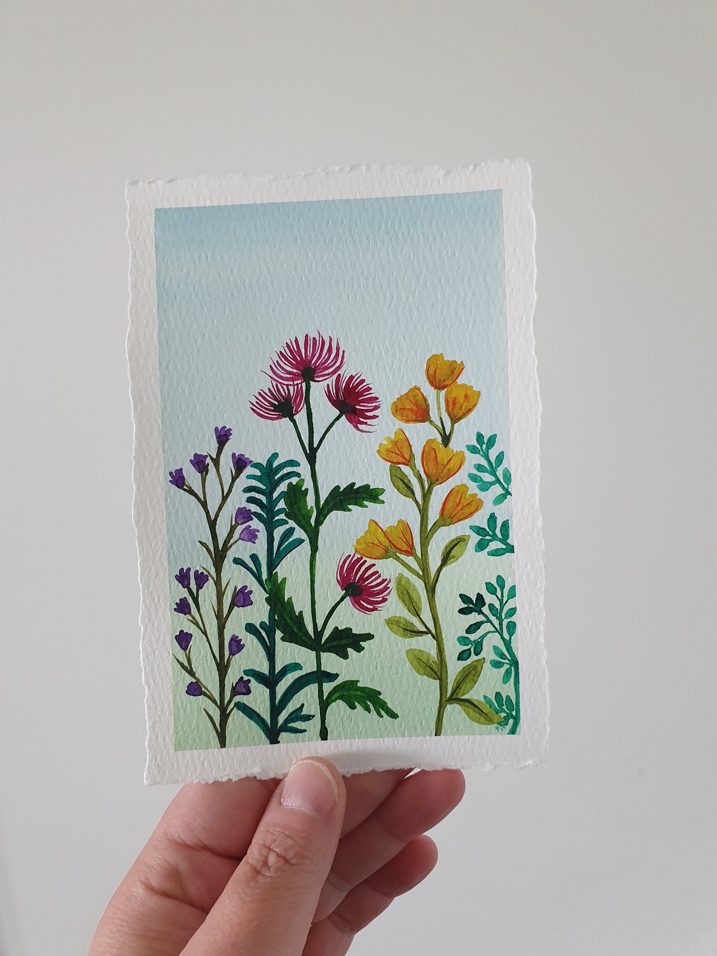 Fall Flowers in bloom